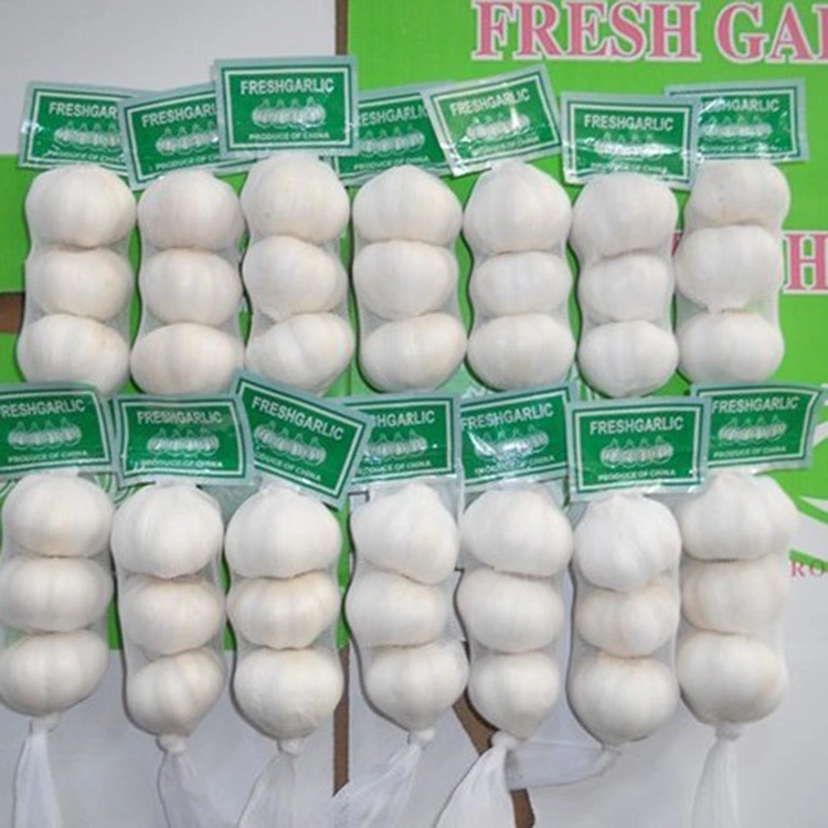 Mengapa Bawang Putih Segar Premium Pilihan Pilihan untuk Pembeli Sedar Kualiti?