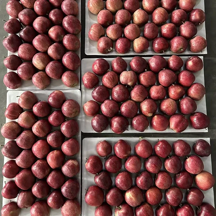 Epal Bintang Merah Terang