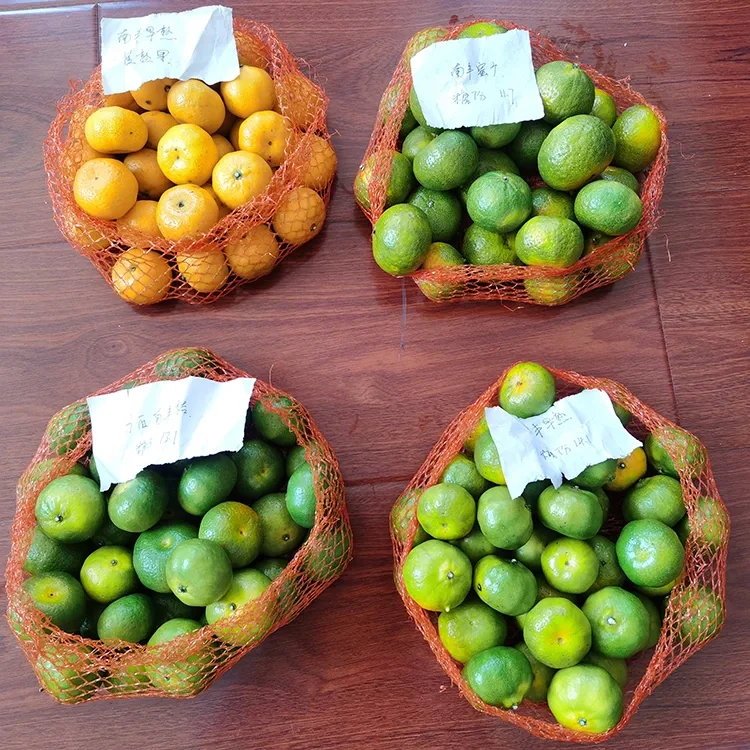 Madu Mandarin segar