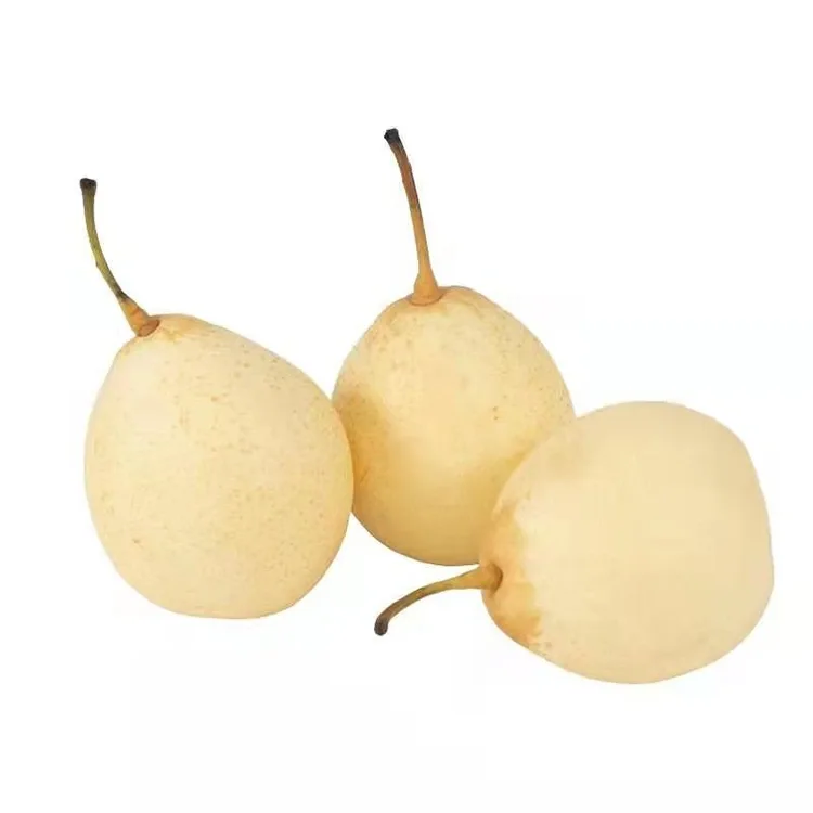 Ya Pear Yang Baru Dituai