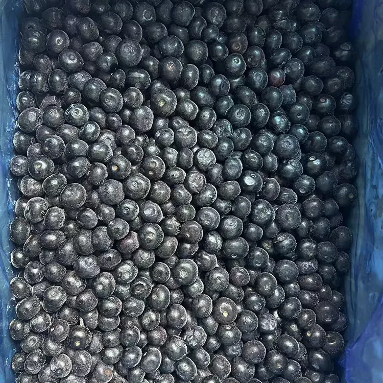 Blueberry Premium IQF Blueberry Beku