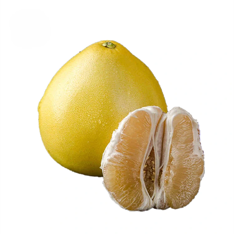 Pulpa Penuh Daging Putih Pomelo Madu