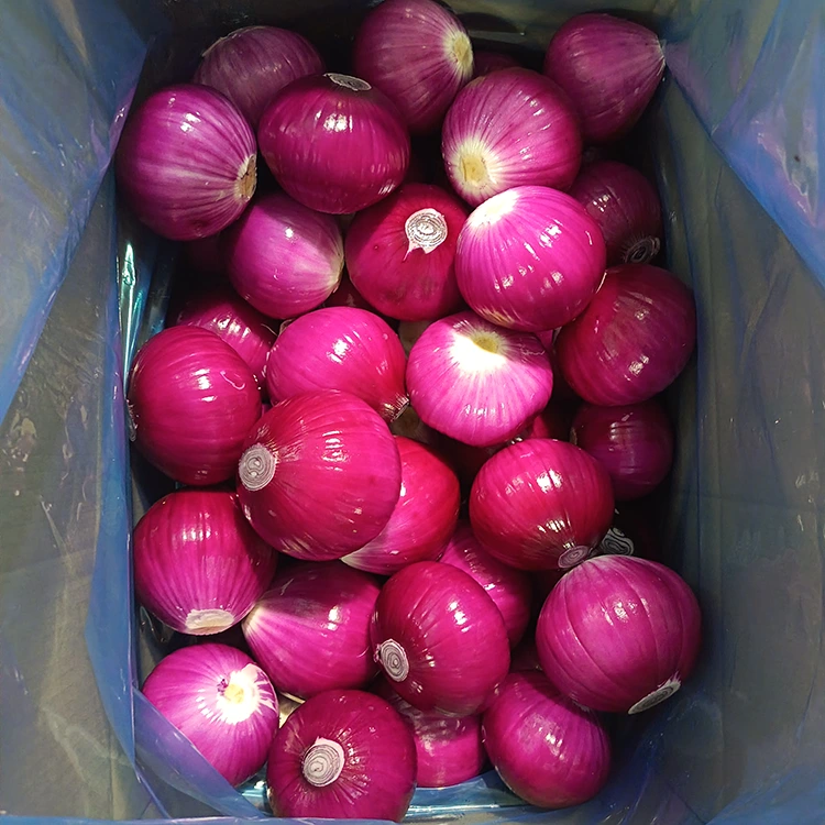Bawang Kupas Berkualiti Tinggi