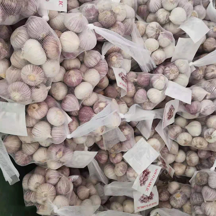 Bawang Putih Cengkih Tunggal Berkualiti Tinggi