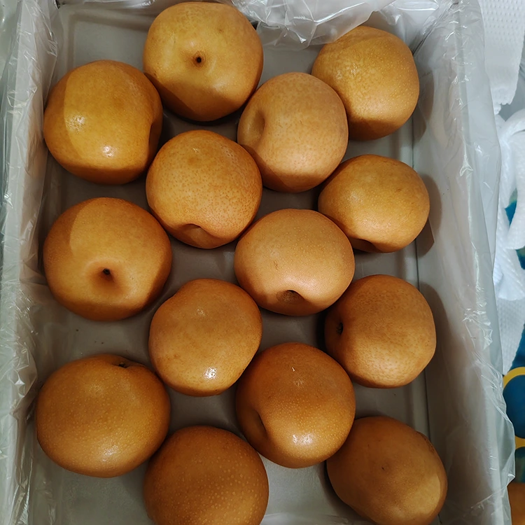 Premium Shingo Pears