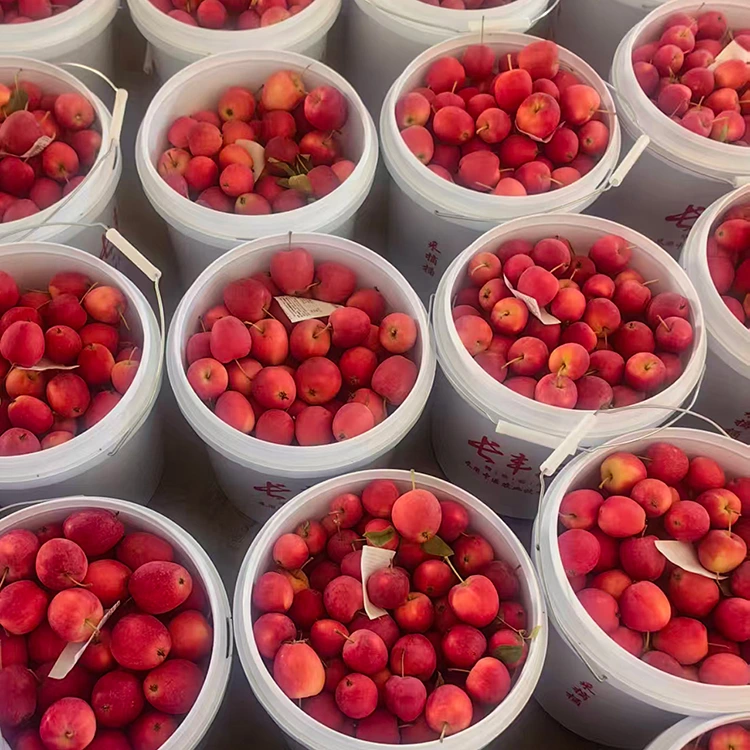 High-Grade New-Crop Chinese Cherry Apple