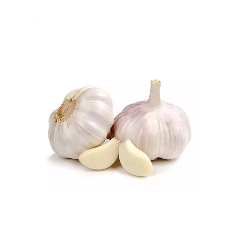 Bawang Putih Putih Normal Pejal dan Montok Premium