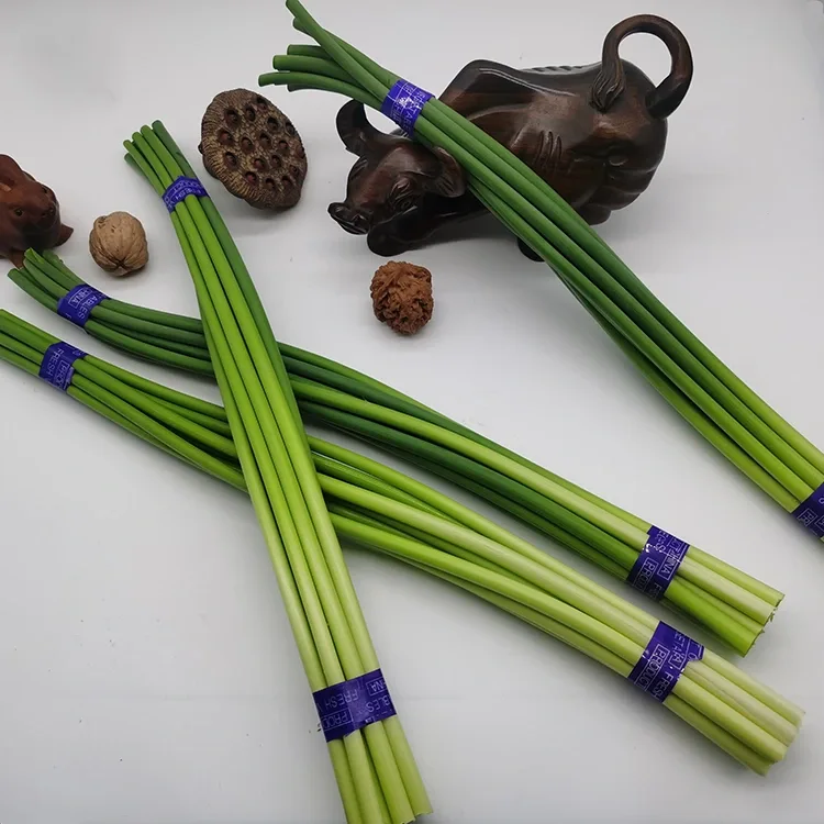 Bawang Putih Segar Premium