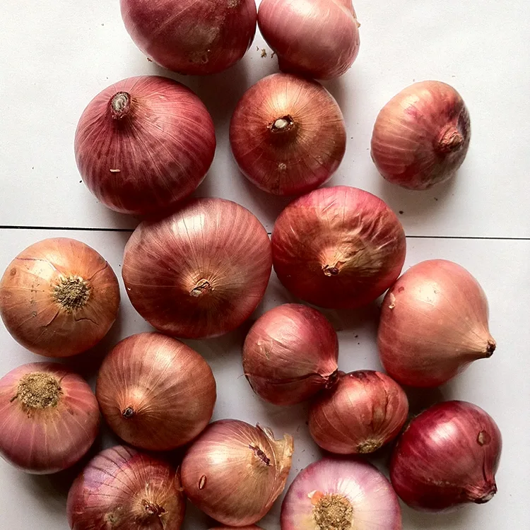 Bawang Merah Segar Premium