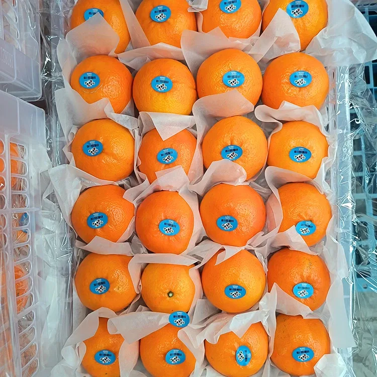 Wogan Mandarin Manis Segar Premium