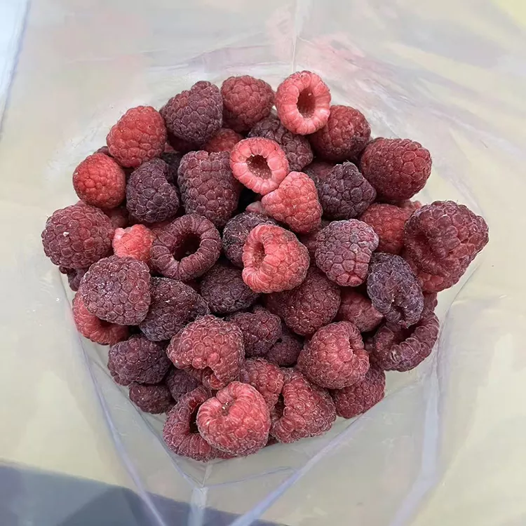 Raspberi Merah Beku Penuh IQF Premium