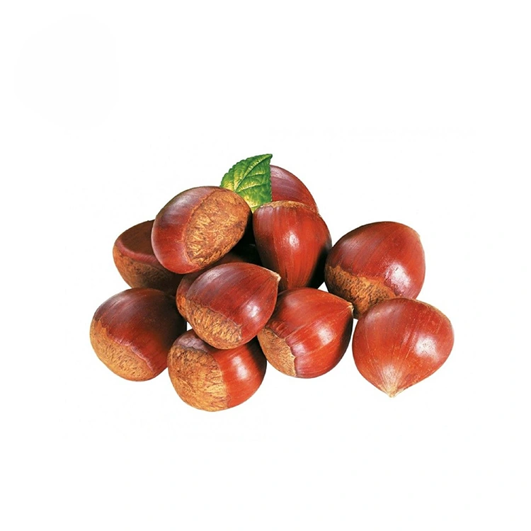 Buah Berangan Berkualiti Premium