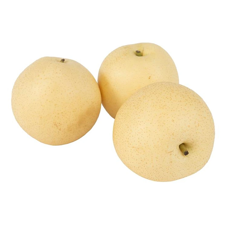 Pear Mahkota Bermusim